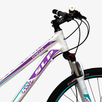Bicicleta Aspen 2953L R29 21V Dis.alum.19 Shimano Negr-Amar
